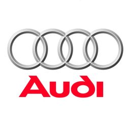 Steuerzeitenwerkzeuge für Audi