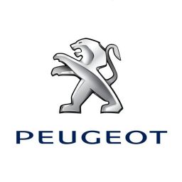 Steuerzeitenwerkzeuge für Peugeot