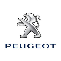 Outils distribution pour Peugeot