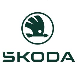 Steuerzeitenwerkzeuge für Skoda